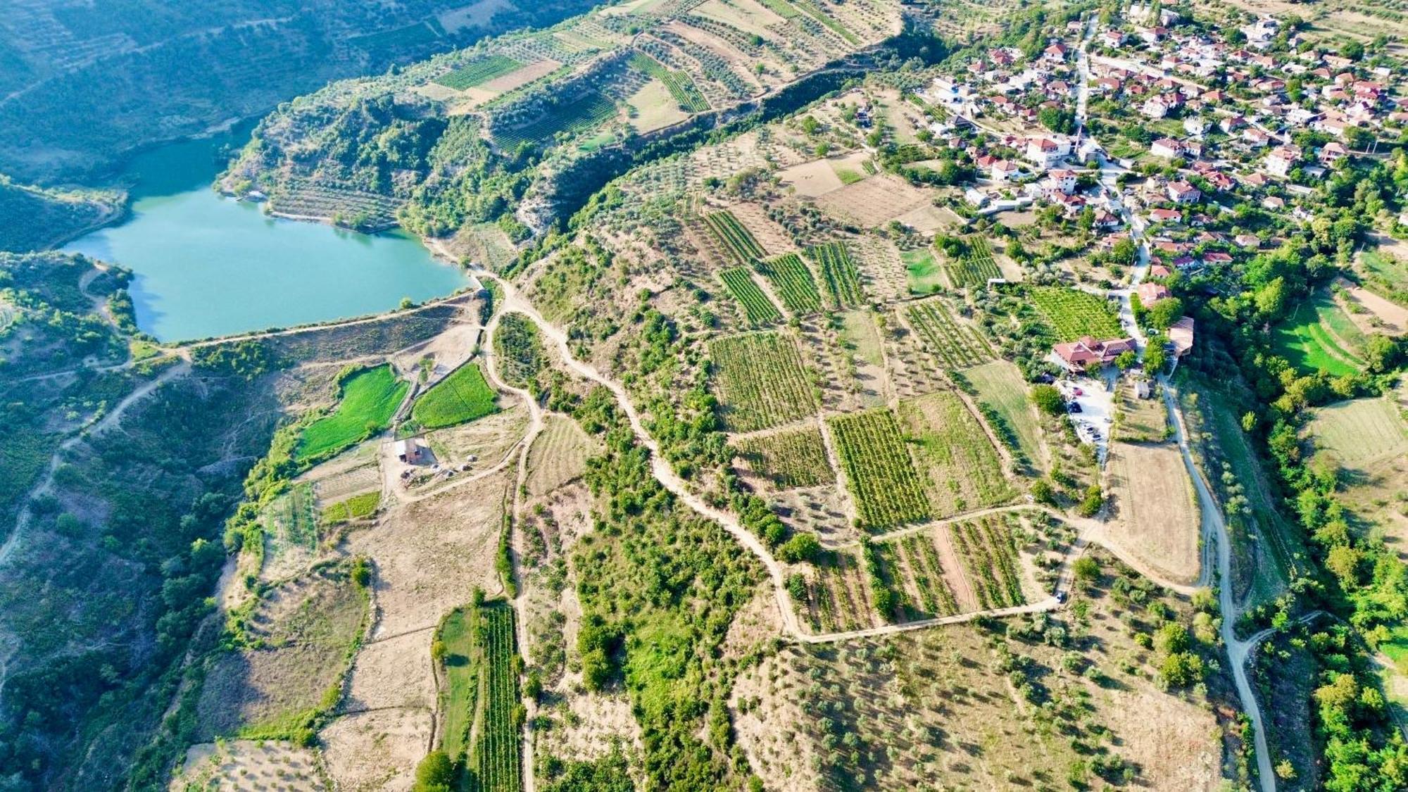 Hotel Alpeta Agrotourism & Winery - Roshnik , Berat Exterior foto