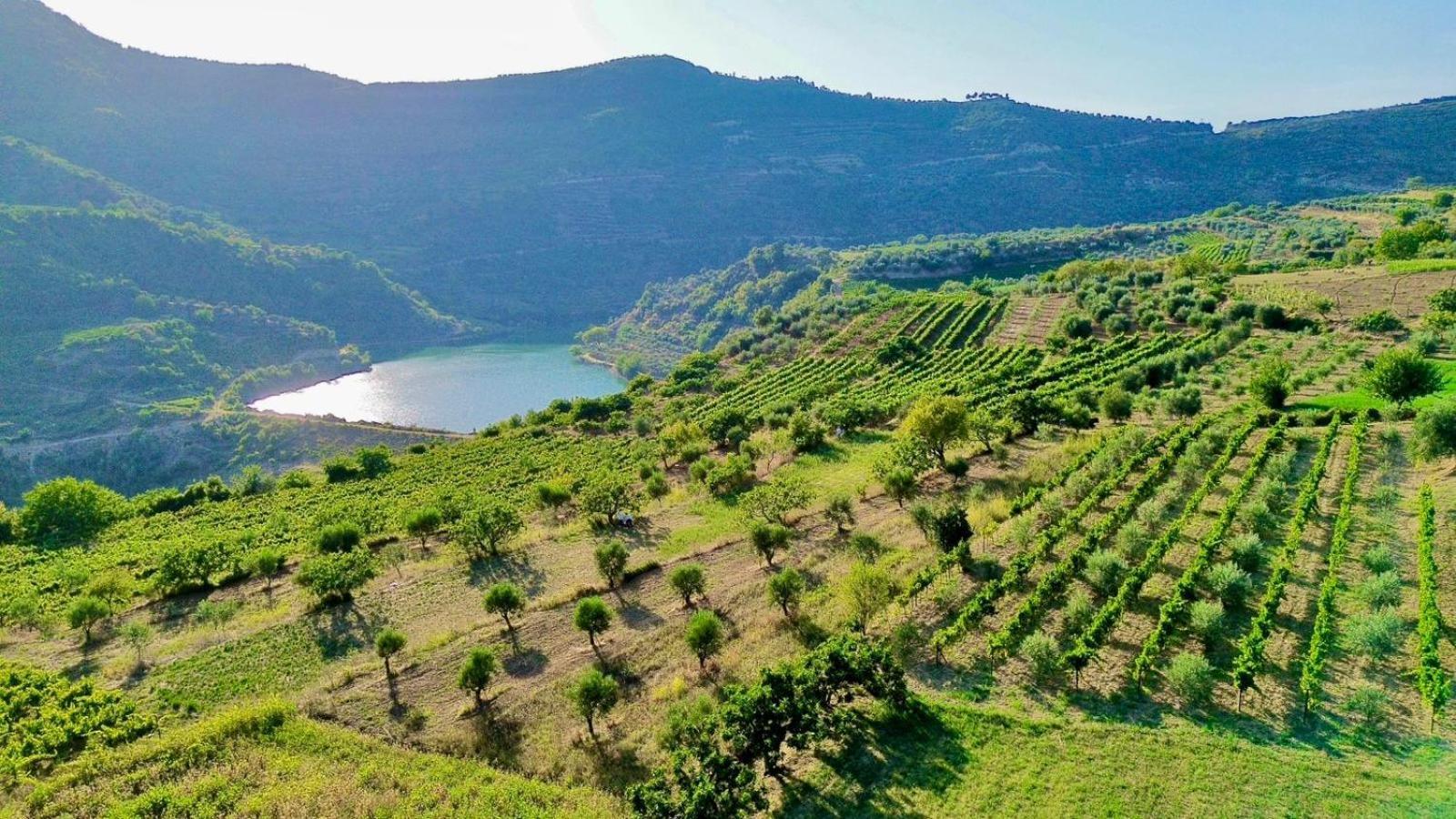 Hotel Alpeta Agrotourism & Winery - Roshnik , Berat Exterior foto